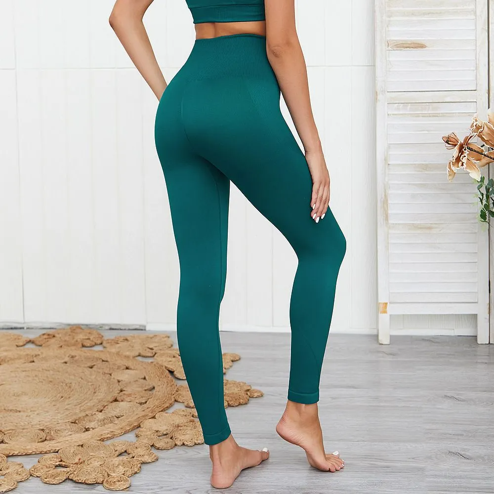 Lily High-Waist Seamless Stretch Leggings leggings Castello Clothing Line