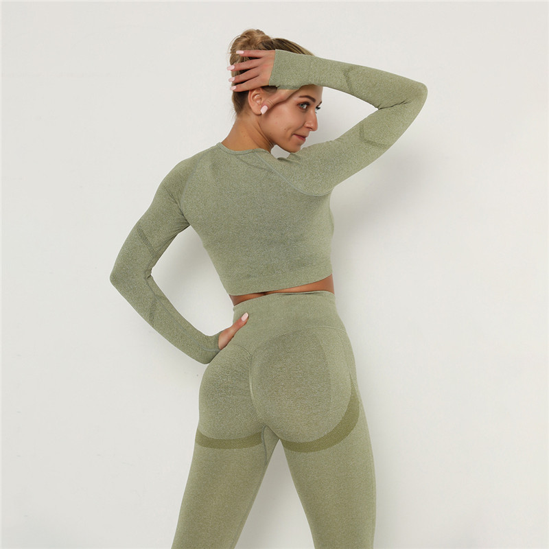 Babs Seamless Long Sleeve Slim Fit Crop Top workout tops and t-shirts Castello Clothing Line