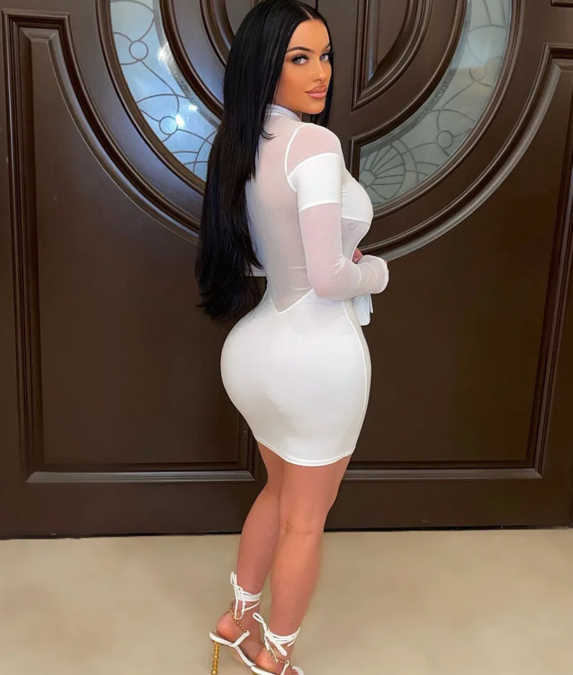Octavia Sheer Mesh Long Sleeve Bodycon Mini Dress Castello Clothing Line