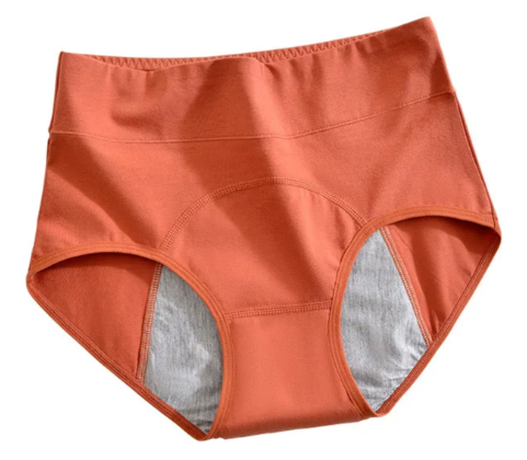 High Waist Period Underwear  Castello Clothing Line   