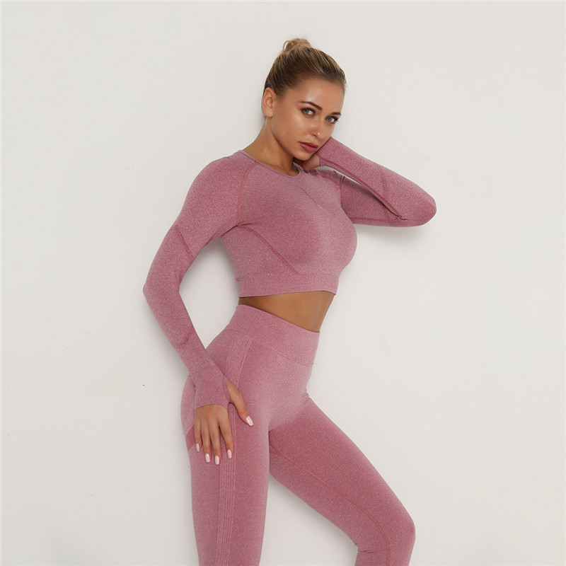 Babs Seamless Long Sleeve Slim Fit Crop Top workout tops and t-shirts Castello Clothing Line
