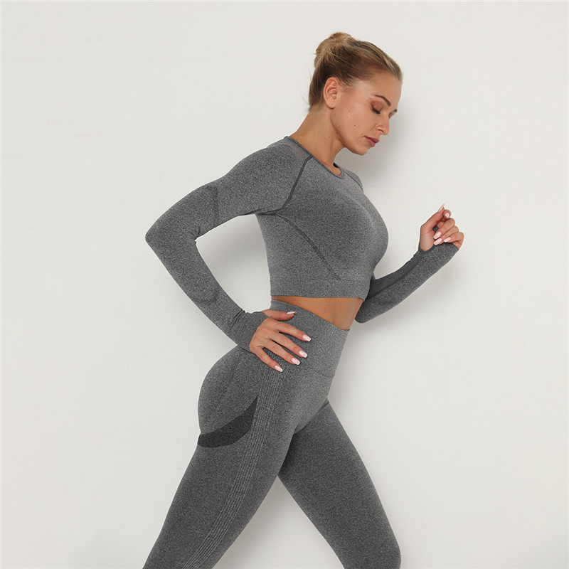 Babs Seamless Long Sleeve Slim Fit Crop Top workout tops and t-shirts Castello Clothing Line