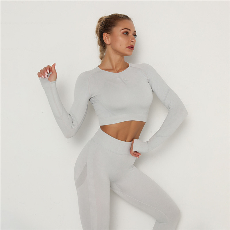 Babs Seamless Long Sleeve Slim Fit Crop Top workout tops and t-shirts Castello Clothing Line