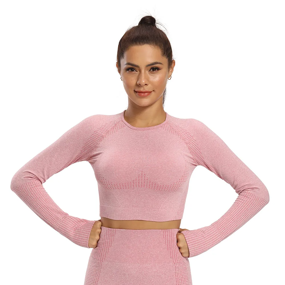 Violet Vibes Long Sleeve Seamless Crop Top  Castello Clothing Line   