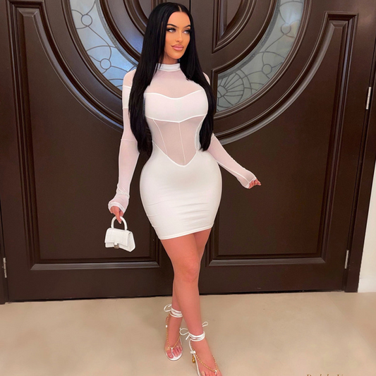 Octavia Sheer Mesh Long Sleeve Bodycon Mini Dress Castello Clothing Line