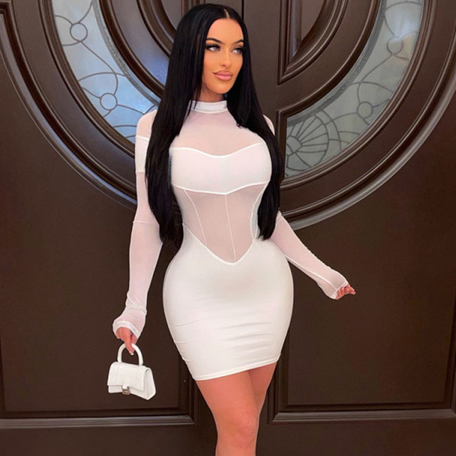 Octavia Sheer Mesh Long Sleeve Bodycon Mini Dress Castello Clothing Line