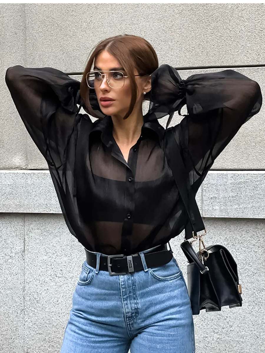 Tease Me Twice Sheer Long Sleeve Button-Up Blouse Castello Clothing Line