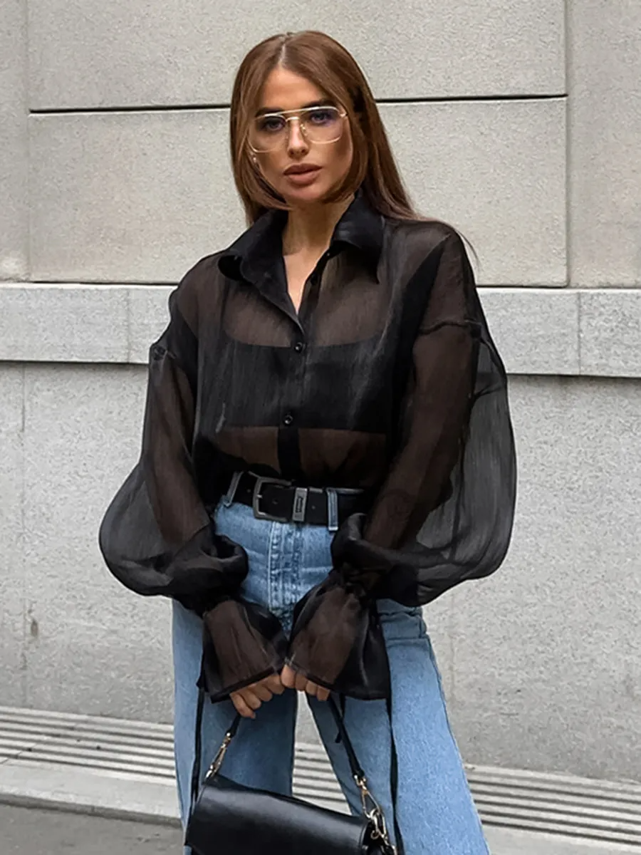 Tease Me Twice Sheer Long Sleeve Button-Up Blouse Castello Clothing Line