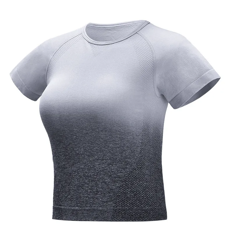 Elka Short Sleeve Seamless Ombre Crop T-Shirt workout tops and t-shirts Castello Clothing Line
